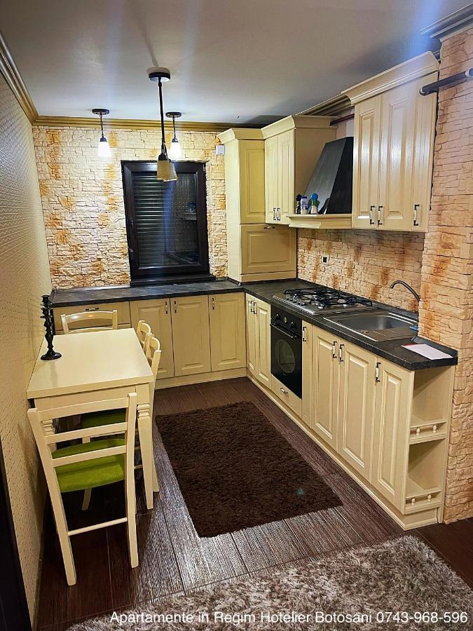 Apartament De Lux Zona 0 Botosani 2 Camere ภายนอก รูปภาพ